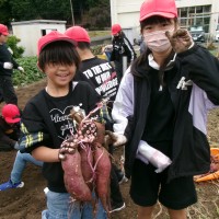 KODAK Digital Still Camera