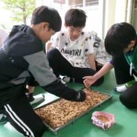 KODAK Digital Still Camera