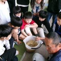 KODAK Digital Still Camera